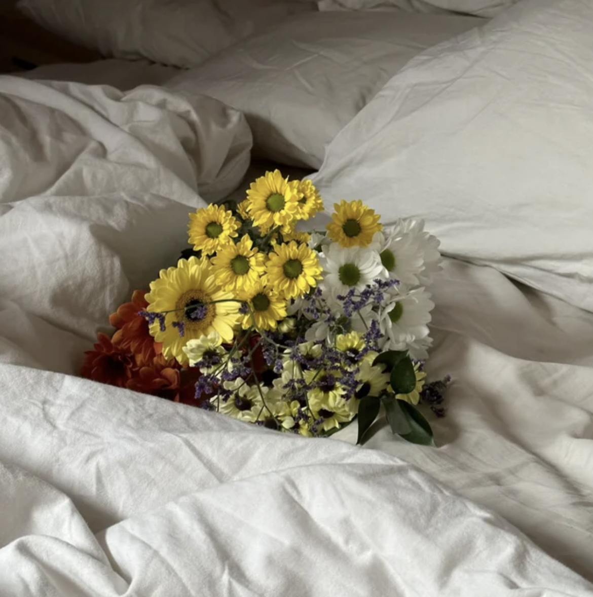 Featured image for “Xavibo lanza su nuevo tema, «Las flores que me das»”